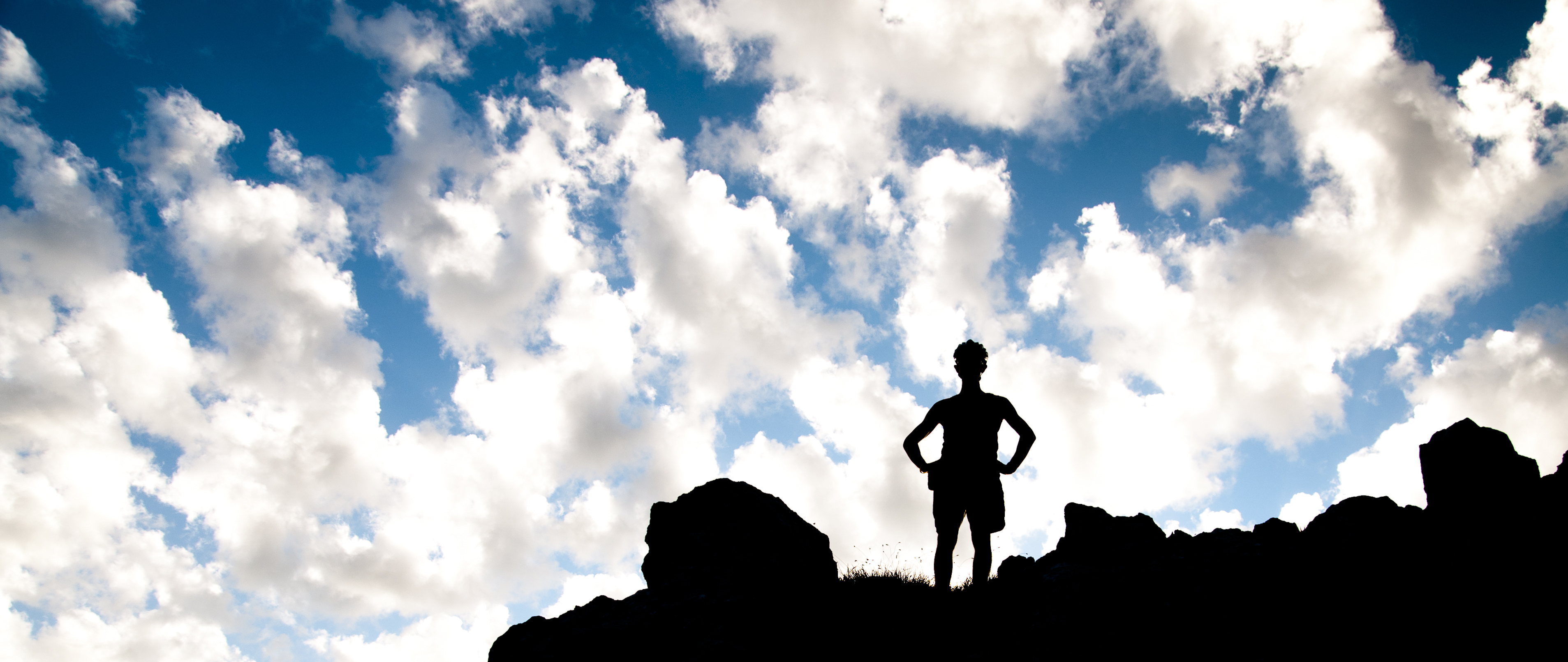 Reaching new heights with better search